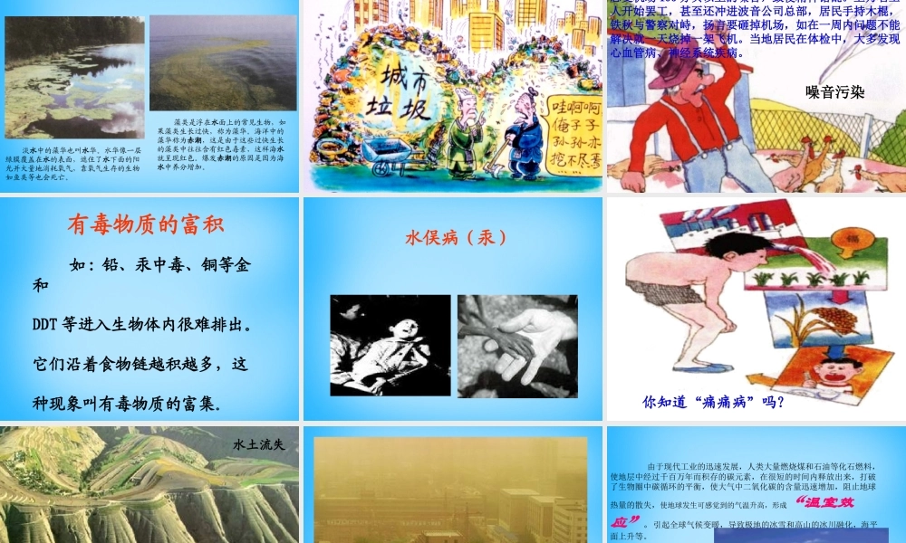 中学七年级生物上册 人是生态系统中一员课件 新人教版 课件