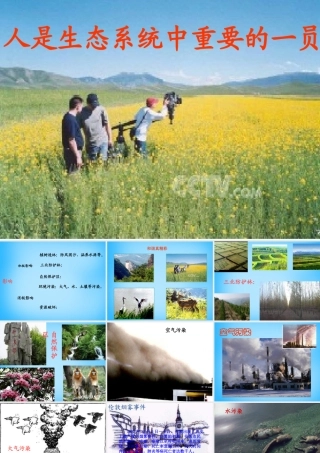 中学七年级生物上册 人是生态系统中一员课件 新人教版 课件