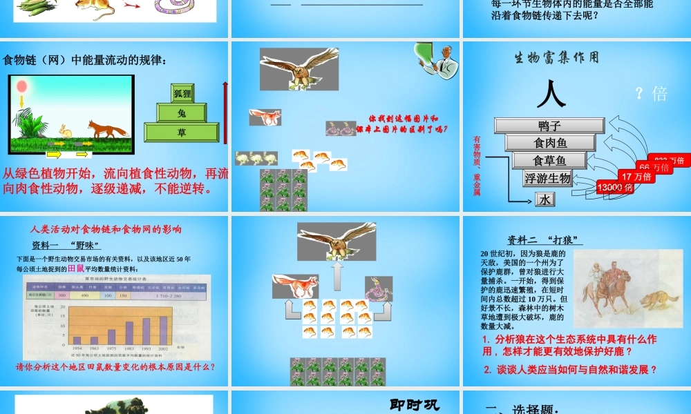 中学七年级生物上册 3.6.1(食物网)课件 (新版)苏科版 课件