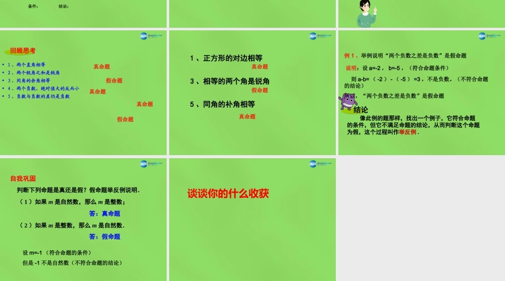 七年级数学下册 第七章 第1节(命题)课件1 (新版)冀教版 课件