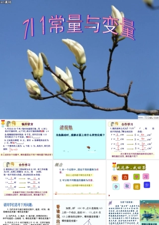 八年级数学 常量和变量课件 浙教版 课件