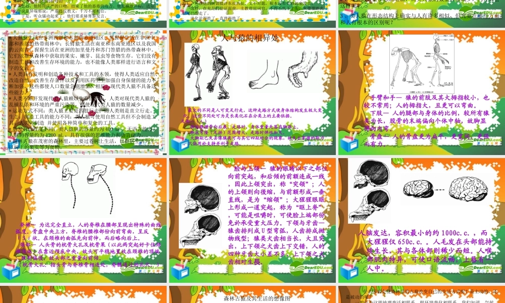 七年级生物下册：第四单元第一章第一节人类的起源和发展5课件 人教版 课件