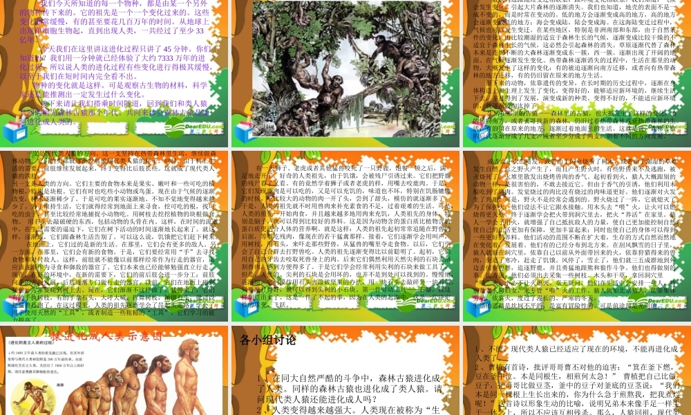 七年级生物下册：第四单元第一章第一节人类的起源和发展5课件 人教版 课件