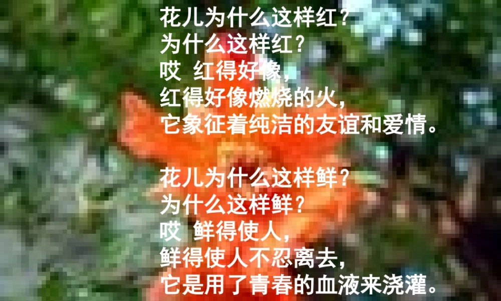 八年级语文下册(石榴)课件 苏教版 课件