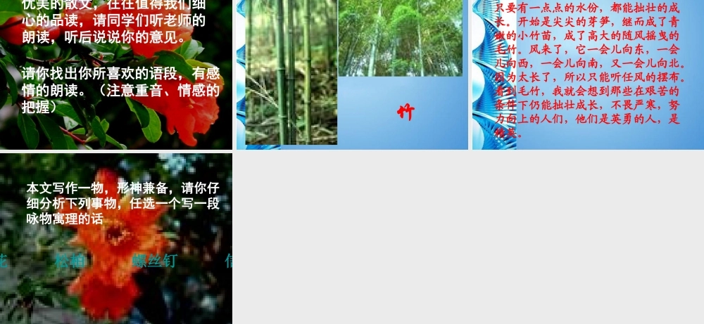 八年级语文下册(石榴)课件 苏教版 课件