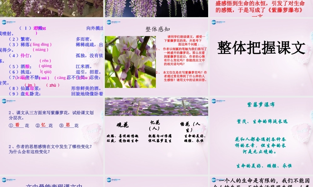 中学七年级语文上册 16(紫藤萝瀑布)课件2 (新版)新人教版 课件