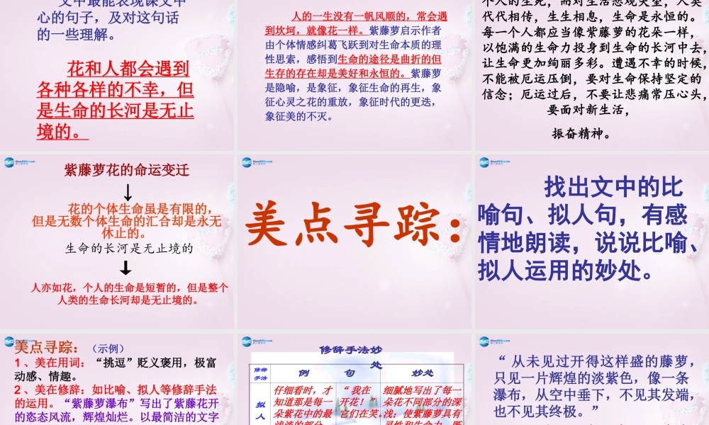 中学七年级语文上册 16(紫藤萝瀑布)课件2 (新版)新人教版 课件