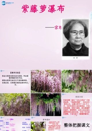中学七年级语文上册 16(紫藤萝瀑布)课件2 (新版)新人教版 课件