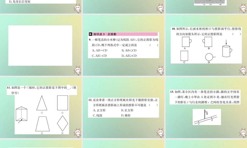 九年级数学下册 第二十九章 投影与视图 291 投影习题课件 (新版)新人教版 课件