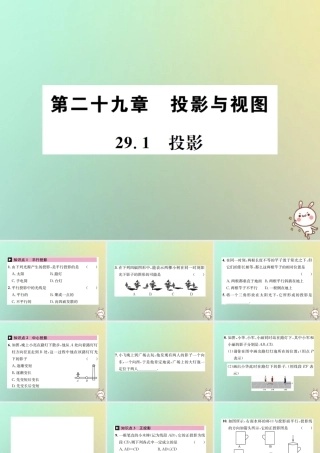 九年级数学下册 第二十九章 投影与视图 291 投影习题课件 (新版)新人教版 课件