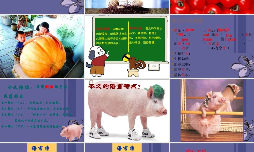 七年级语文上册(基因畅想)课件 语文版 课件