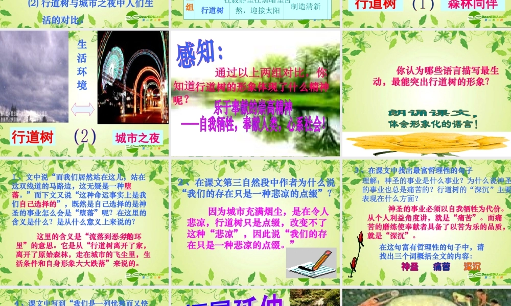 七年级语文上册 第七课 短文两篇 行道树课件 人教新课标版 课件