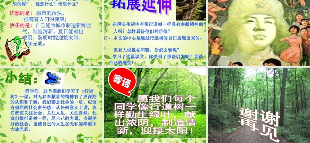 七年级语文上册 第七课 短文两篇 行道树课件 人教新课标版 课件