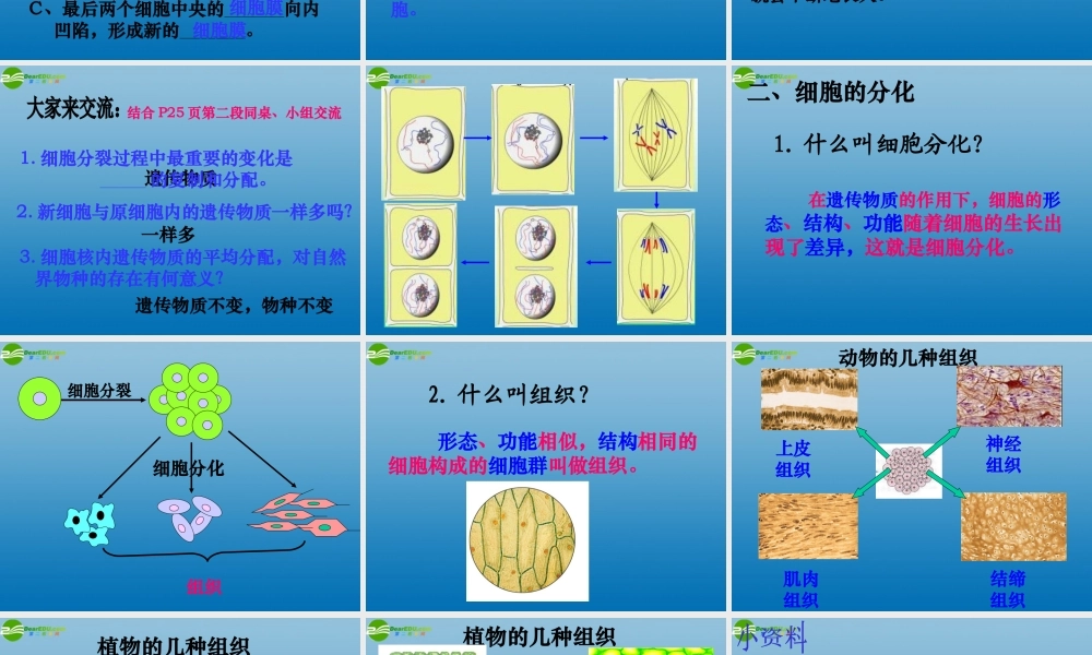 七年级生物上册 第三节 细胞的分裂与分化课件 济南版 课件