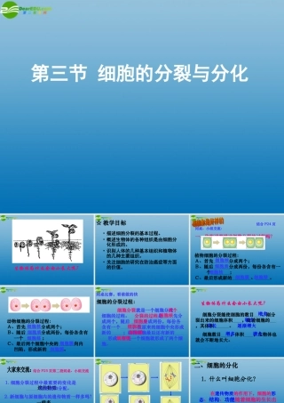 七年级生物上册 第三节 细胞的分裂与分化课件 济南版 课件