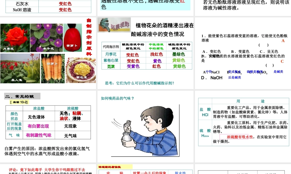 课题1-常见的酸和碱