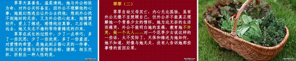 人教版高一语文边城节选 课件