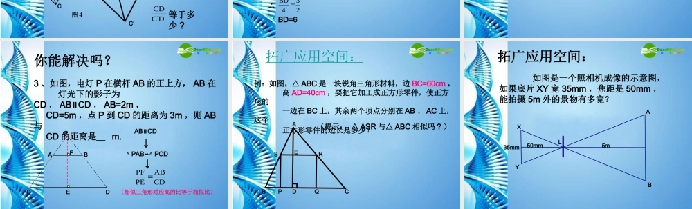 八年级数学下册 4.8相似多边形的性质(1)课件 北师大版 课件
