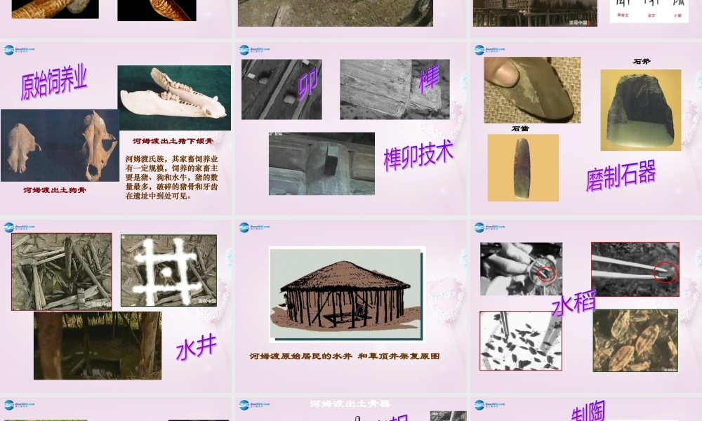 中学七年级历史上册 第2课 原始的农耕生活课件1 新人教版 课件