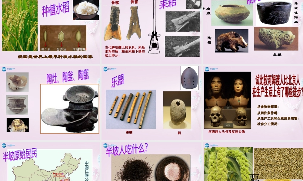 中学七年级历史上册 第2课 原始的农耕生活课件1 新人教版 课件