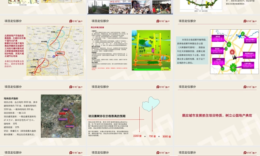 08.02.24保利新都汇报定位案：新都项目营销工作汇报