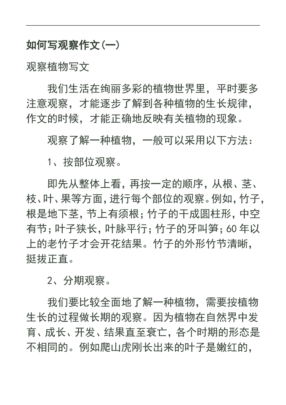 如何写观察作文_第1页