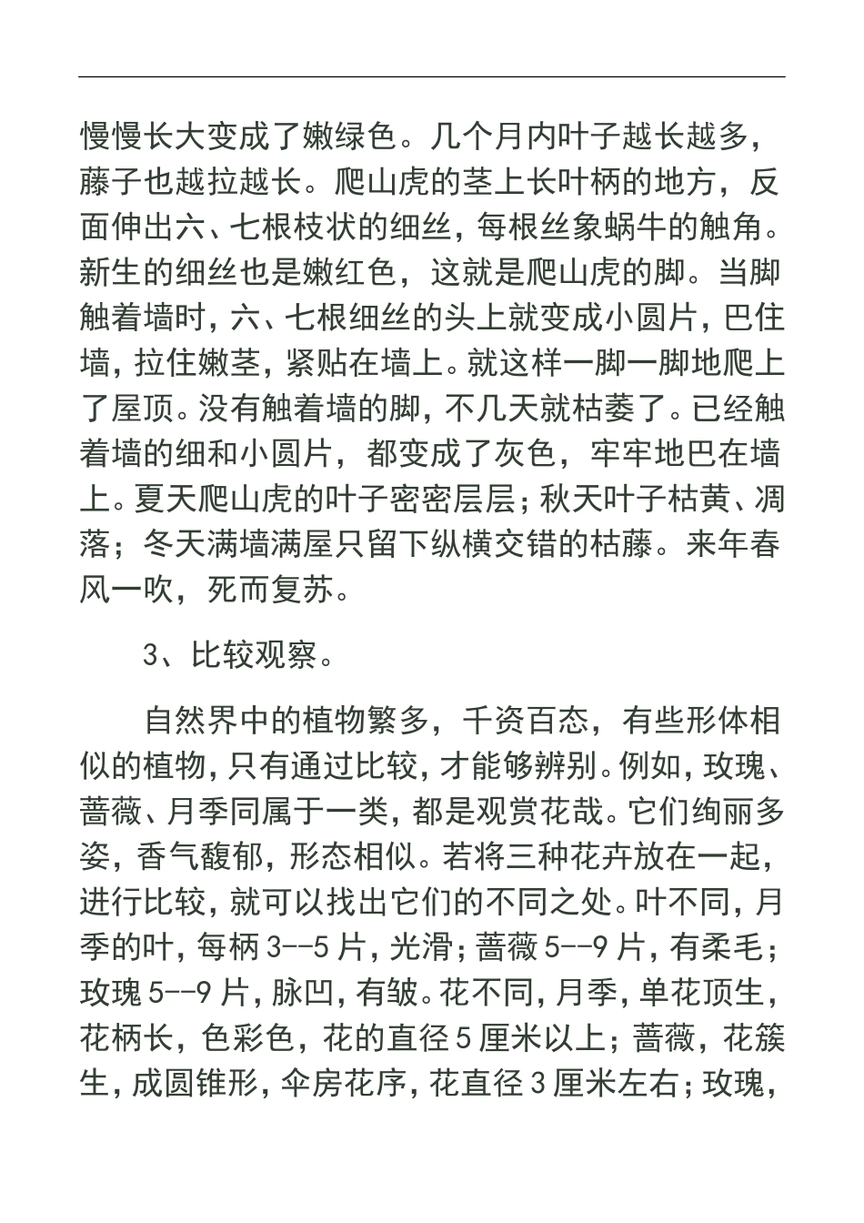 如何写观察作文_第2页