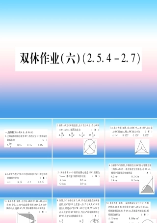 九年级数学下册 双休作业(六)作业课件 (新版)湘教版 课件