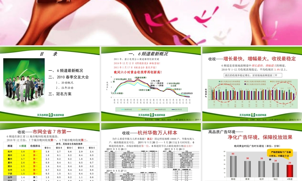 2011相亲才会赢电视栏目策划：中国杭州春季交友大会冠名方案