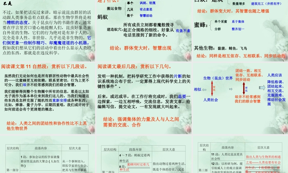 天津市武清区杨村四中高二语文(作为生物的社会)课件 新人教版 课件