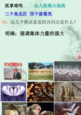 天津市武清区杨村四中高二语文(作为生物的社会)课件 新人教版 课件