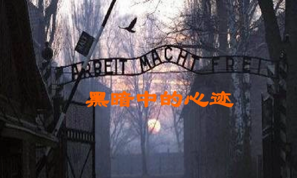 九年级语文上册 第3课(安妮日记)课件 鄂教版 课件