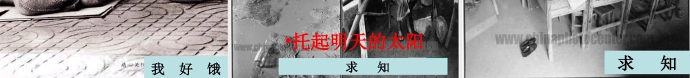 八年级语文上册 第2单元综合 让世界充满爱课件 新人教版 课件