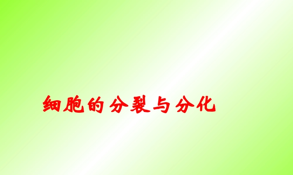 七年级生物细胞的分裂与分化课件 鲁教版 课件