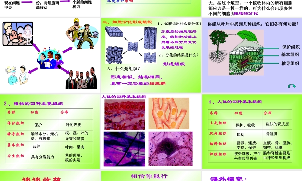 七年级生物细胞的分裂与分化课件 鲁教版 课件