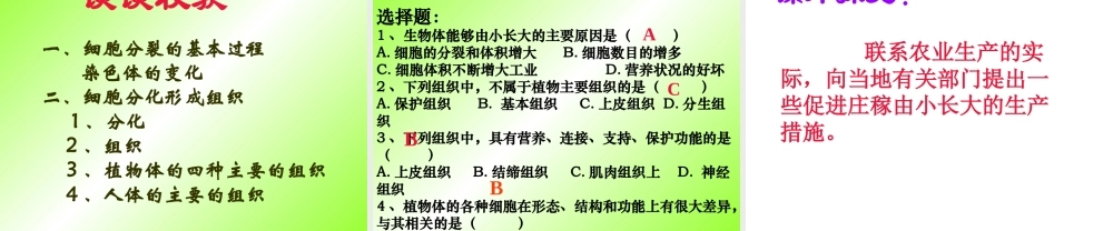 七年级生物细胞的分裂与分化课件 鲁教版 课件