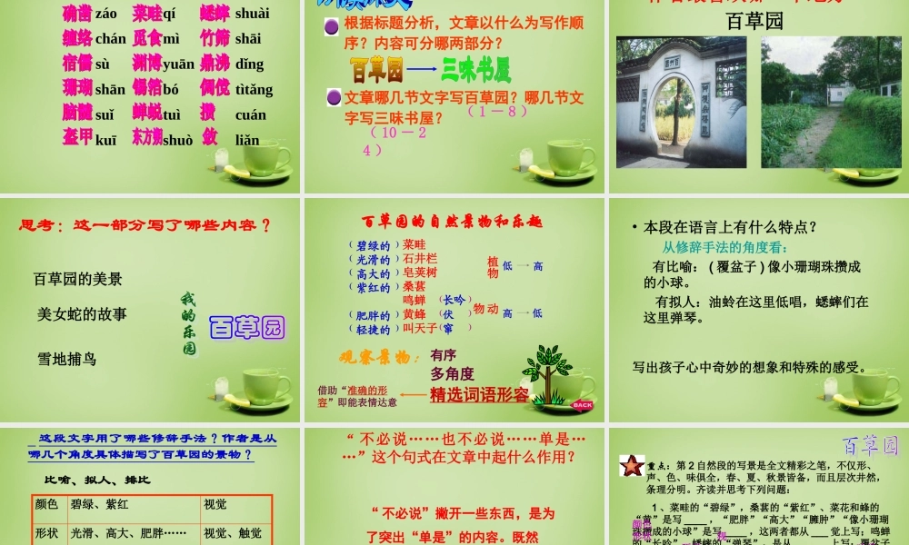 初中七年级语文下册 第1课(从百草园到三味书屋)课件 新人教版 课件