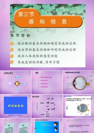 中学七年级生物下册 12.3 人体感知信息课件 (新版)苏教版 课件