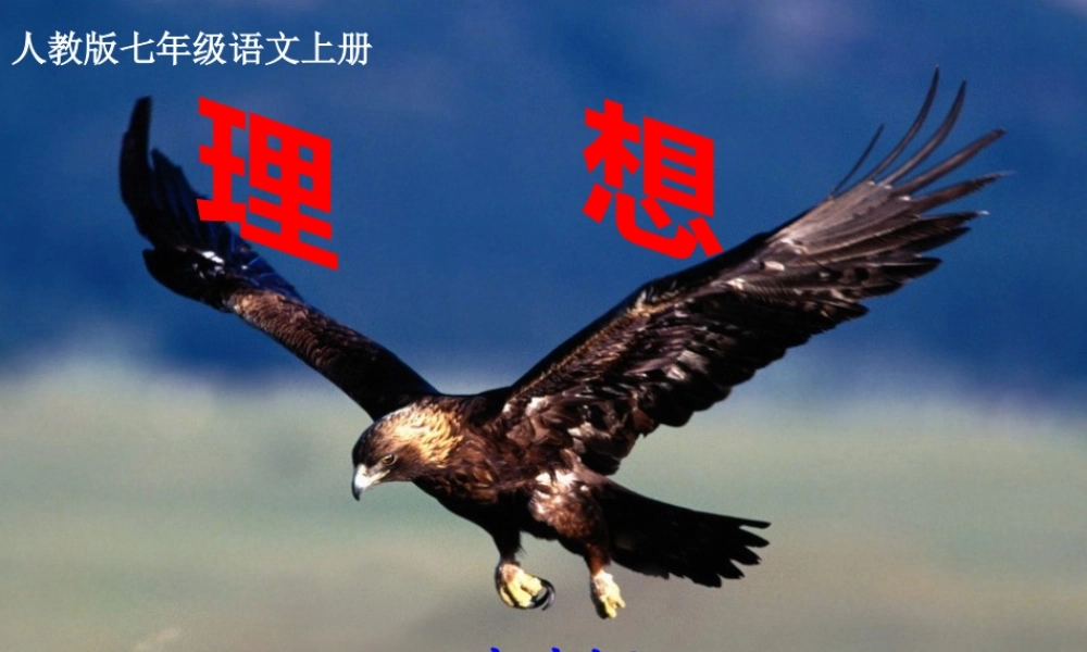 《理想》课件