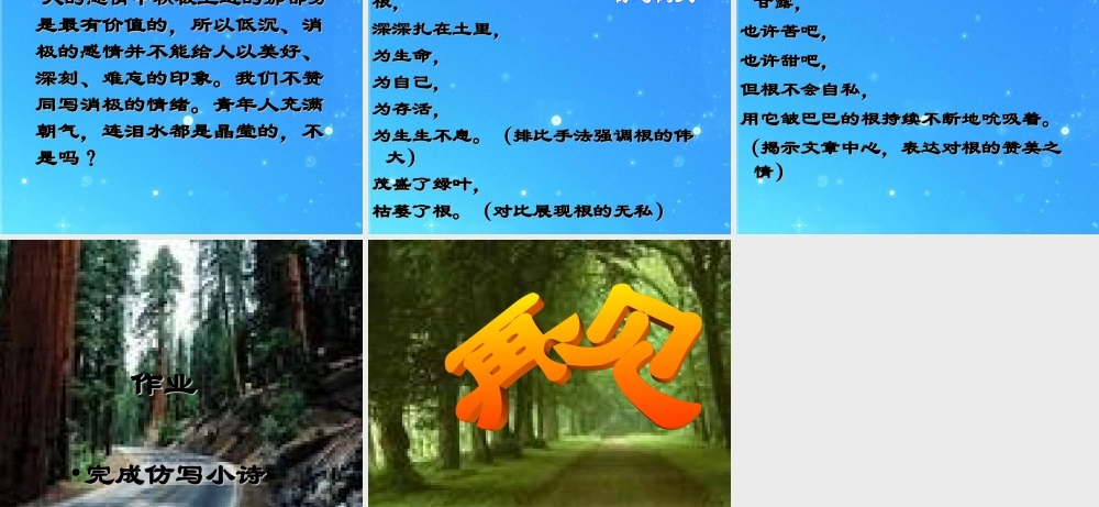 七年级语文下册 (未选择的路)课件 人教新课标版 课件