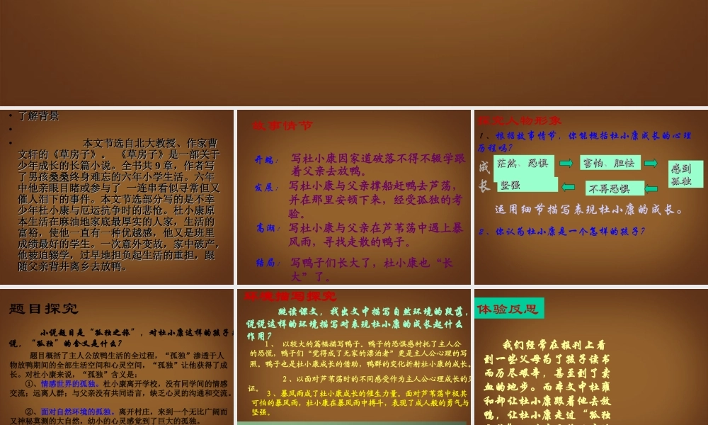 九年级语文(孤独之旅)复习课件 新人教版 课件