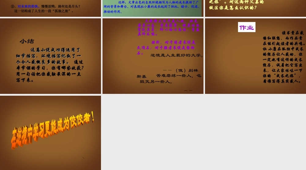 九年级语文(孤独之旅)复习课件 新人教版 课件