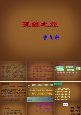 九年级语文(孤独之旅)复习课件 新人教版 课件