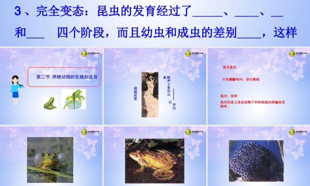 八年级生物上册 两栖动物的生殖和发育课件2 济南版 课件