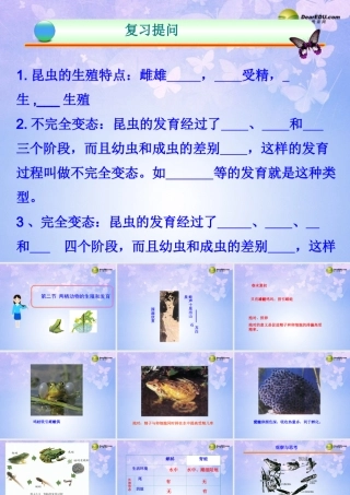 八年级生物上册 两栖动物的生殖和发育课件2 济南版 课件