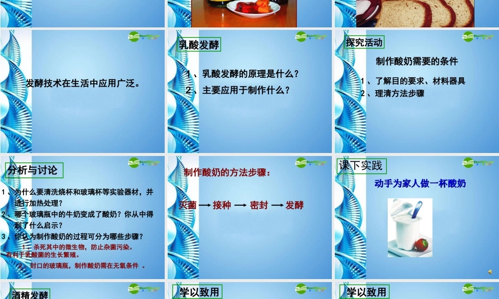 八年级生物下册 发酵技术课件 济南版 课件