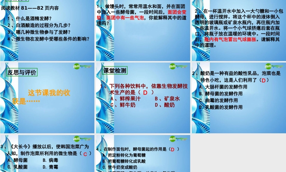 八年级生物下册 发酵技术课件 济南版 课件