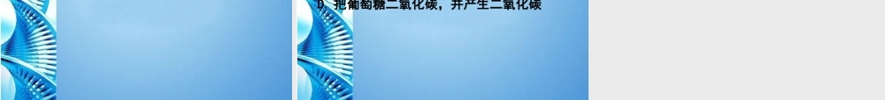 八年级生物下册 发酵技术课件 济南版 课件