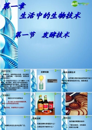 八年级生物下册 发酵技术课件 济南版 课件