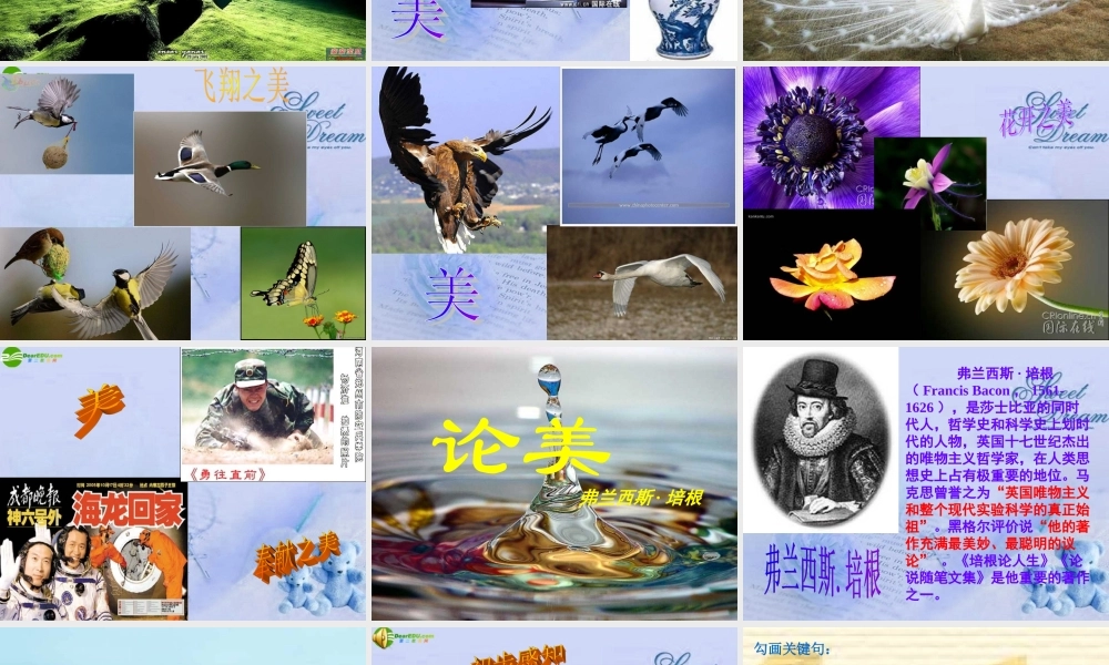 九年级语文上册(论美)课件 苏教版 课件